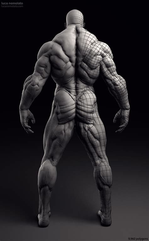 Last time we learned the anatomical details of the lower back muscles. Luca Nemolato - Official Blog: Extreme Bodybuilder - vray ...