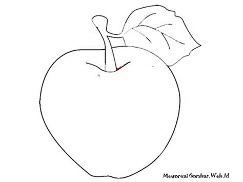 17 gambar sketsa buah buahan beserta penjelasan lengkap. Tergokil 20+ Gambar Buah Mangga Mewarnai