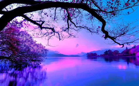 Our team searches the internet for the best and latest background wallpapers in hd quality. Nature HD Wallpapers Purple Sky - Wallpaper Cave