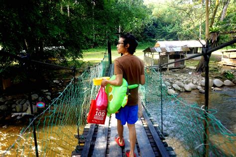 הציוצים העדכניים ביותר של ecotouria resort (@hulu_langat). Banana Stories: Sungai Pangsun, Hulu Langat Selangor 2015