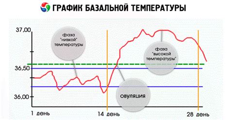 Ab wann muss fieber behandelt werden? Basaltemperatur nach dem Eisprung: Was sollte es sein ...