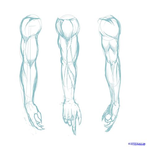 The name of the anime the fanart is from. How To Draw Muscles by KingTutorial | Human drawing ...