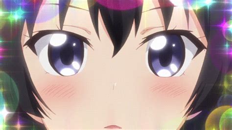 Maybe you would like to learn more about one of these? Shomin Sample Team by Chanti-little-Angel on DeviantArt