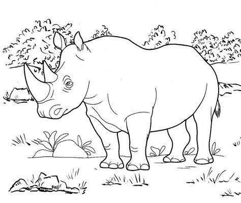 Rhino coloring pages 14 outline of rhino free printable coloring4free. wildlife rhinoceros rhino living in the forest coloring page