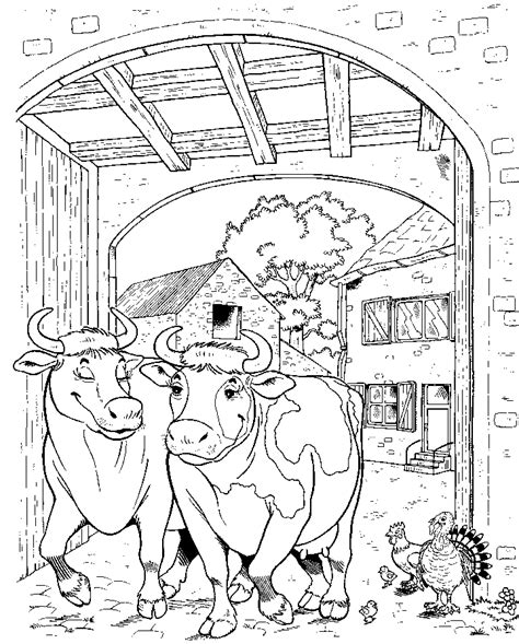 Heb je een toffe boerderij kleurplaat kunnen vinden. koeien.gif (720×896) | Boerderijdieren, Koeien