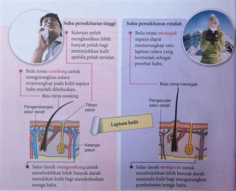 Homeostasis dalam haiwan tingkatan 1. Homeostasis Dalam Benda Hidup