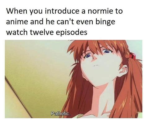 Транскрипция и произношение слова pathetic в британском и американском вариантах. Pathetic Normie : Animemes