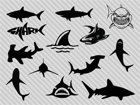 Now you will begin playing with the outline. Sharks | Shark silhouette, Outline drawings, Silhouette svg