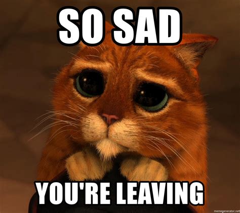 A sad discovery meme with among us! so sad You're leaving - sad cat shrek | Meme Generator