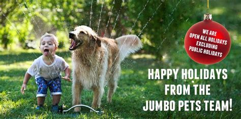 Get the best deals and coupons for discount pet medication. Pin by couponscops .com on Pet Supplies Coupons Promo And ...
