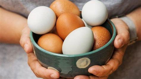 Telur ayam cemani memiliki warna dan konon pemberian nama cemani untuk ayam jenis ini sejak jaman majapahit. Tips Memulai Bisnis Telur Ayam dengan Modal Kecil - Super