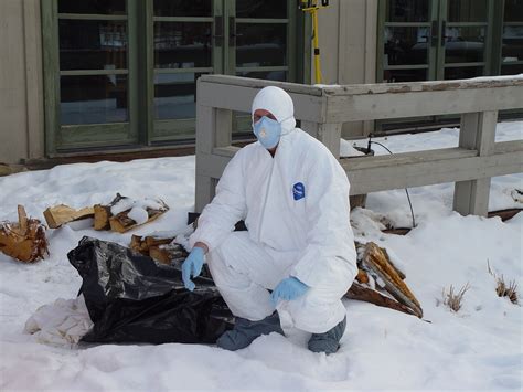 State laws also require these workers to be applicators use a wider range of pesticides and handle more serious pests such as termites, as well as fumigating houses to. PRICING: Animal Control - Cost of Professional Wildlife ...