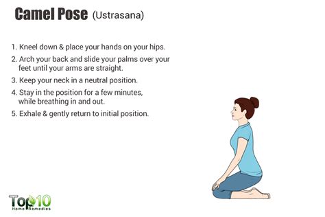 Camel pose though, was always more gentle, its always felt like it was accessible which means that you're not getting the benefits of a backbend or opening of your front body. 10 Best Yoga Poses to Boost Your Immunity | Top 10 Home ...