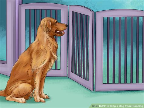Things that get dogs going. 3 Ways to Stop a Dog from Humping - wikiHow
