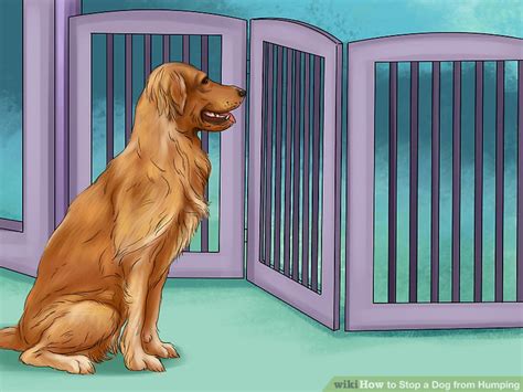 So, don't stop when humping the pillow. 3 Ways to Stop a Dog from Humping - wikiHow