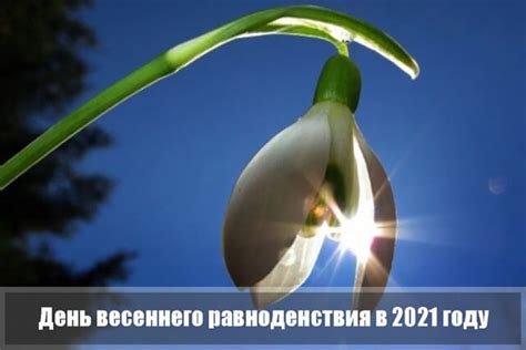 День весеннего равноденствия в 2021 году приходится на 20 марта. Весеннее равноденствие 2021: какого числа, ритуалы