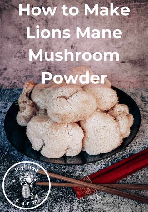 Keep out of reach of children. How to Make Lions Mane Mushroom Powder | Joybilee Farm