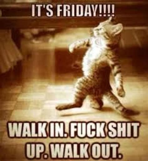 Here are 27 funny memes that 1) funny friday memes: Friday Good Morning Have a Nice Day Sayings Quotes Memes 1946 | Funny friday memes, Funny ...