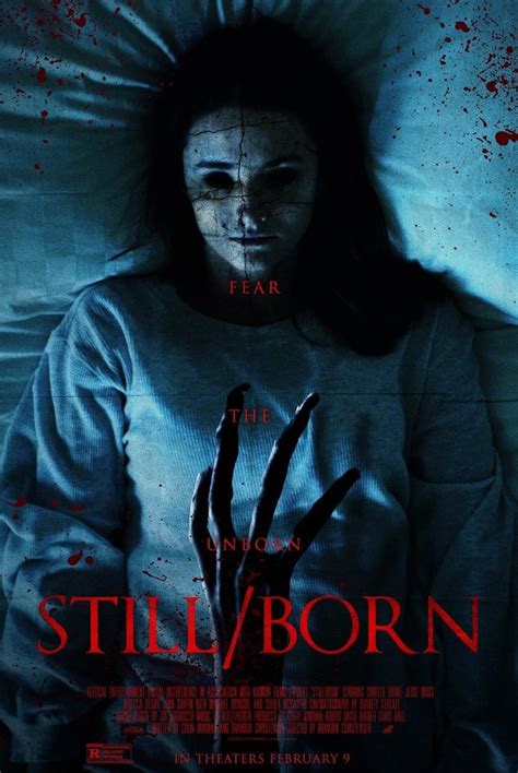 Mary, a new mother, gives birth to twins, but only one of them is alive. Horror: „Still/Born" (2017)