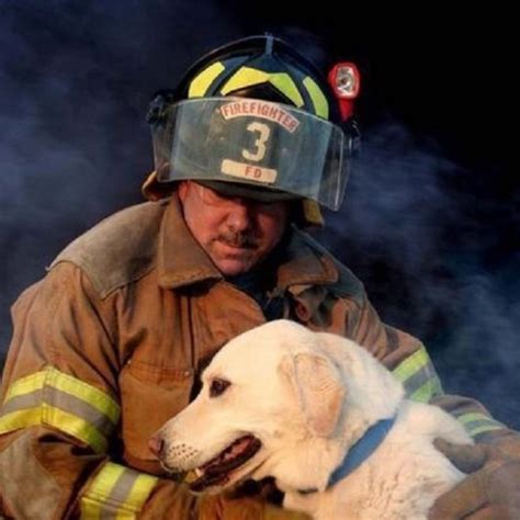 New hope animal rescue, dedicated to providing homeless, sick, and otherwise abandoned dogs new hope animal rescue, nfp. These Firefighters Thought They Rescued Puppies But They ...
