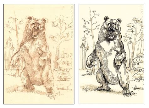 How to draw bear kissing bear (so cute) step by step tutorial for kids. a scary roaring black bear, drawing, illustration | Osos ...