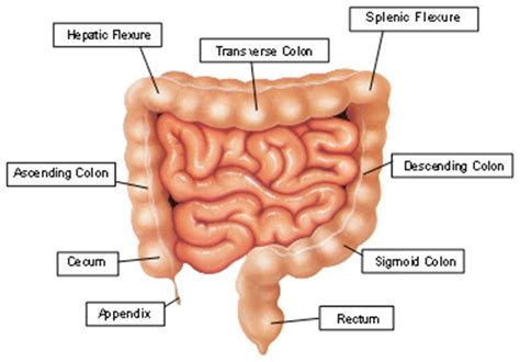 For other uses, see colon. A Life Less Ordinary: A Rough Start to Summer