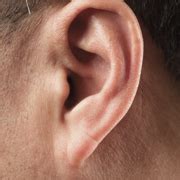 To like someone or something very much: What Does Your Ear Lobe Reveal About Your Personality ...