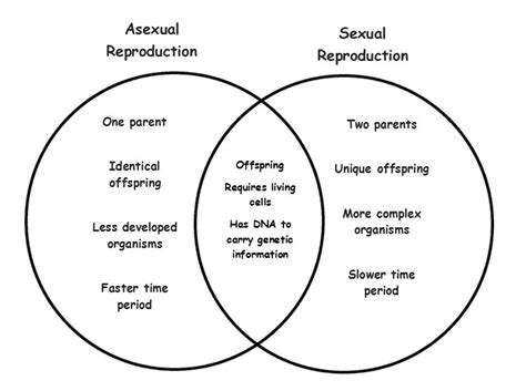 Have a clear understanding of what you would like to compare and for what purpose is the comparison needed. 32 Sexual And Asexual Reproduction Venn Diagram - Wiring ...