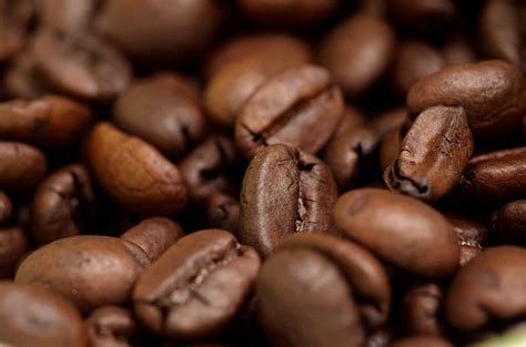 Well, here are a few best brands along with buying guide. 1024px-Coffee_Beans - The Coffee Bean Menu