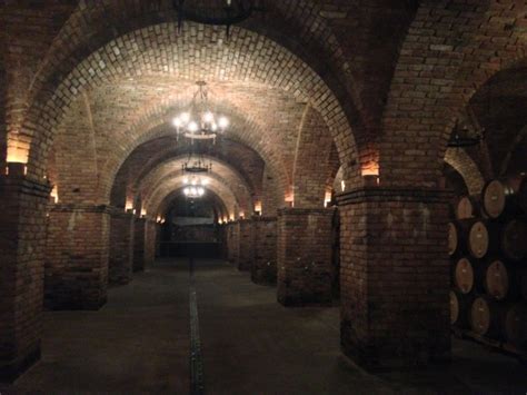 We had to incorporate half of each to make this arched ceiling. Vaulted brick ceilings in the barrel tasting room | Britta ...