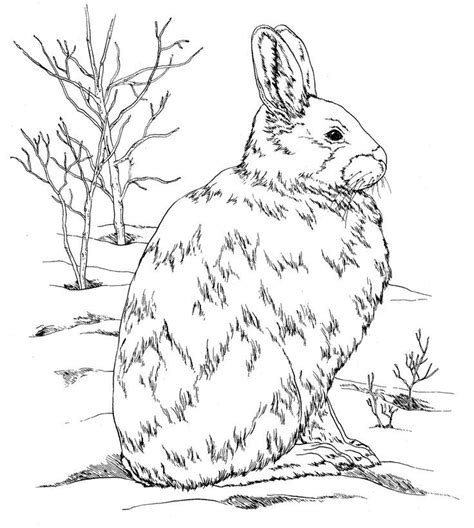 Some of the worksheets for this concept are rocks and minerals, rocks and minerals unit, rocks minerals, 4th grade earth science rocks minerals unit, grade 4 rocks and minerals activities, unit 2 minerals rocks and minerals, grade 4 standard 3 unit test a earth materials multiple, rocks and minerals. 2nd Grade Coloring Pages - Coloring Home