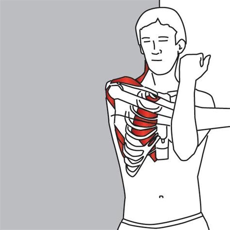 TRAPEZIUS SELF HELP: Self-massage techniques can be ...
