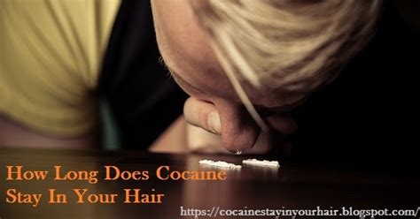 Usually much more than 3 months or. How Long Does Cocaine Stay In Your Hair: How long does ...