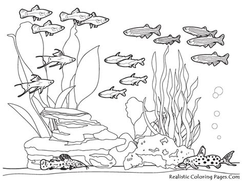 For my 3rd colouring book i m taking you on an inky underwater adventure beneath the waves. Sea life coloring page - Coloring Pages & Pictures ...