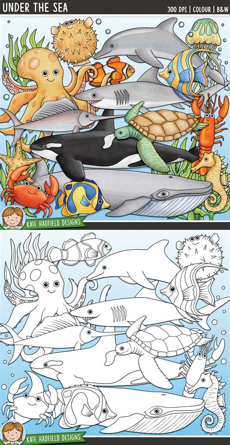 Check spelling or type a new query. Ocean Animals / Sea Creatures Clip Art: "Under the Sea ...