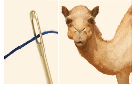 What does the parable about a camel going through a needle's eye mean? The Root Of All Evil | God Is Our Refuge And Strength