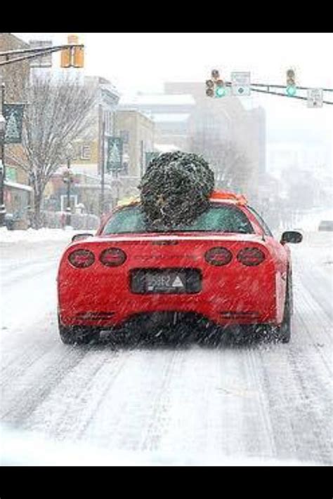 We did not find results for: It's a Corvette Kind of Christmas | Corvette summer ...