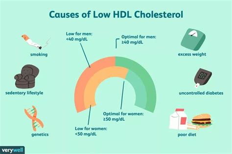 The difference between the two forms is the chemical structure and how quickly the. What Causes Low HDL Cholesterol Levels? | Hdl cholesterol, Hdl ldl, Cholesterol