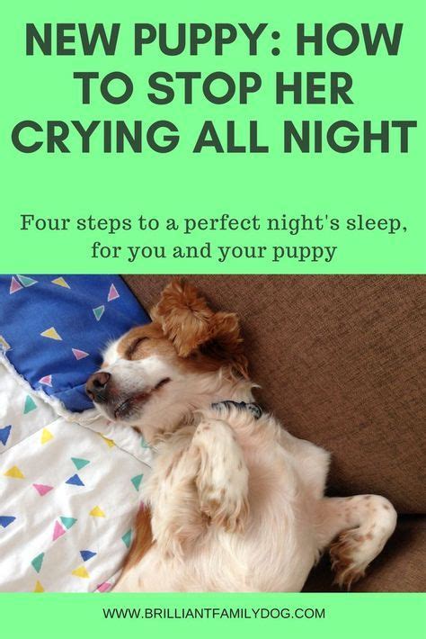 A mother dog's milk provides everything the pups need during their first four weeks of life. 12 best Norwex & Pets images on Pinterest | Norwex ...