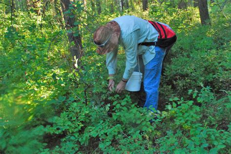 Check spelling or type a new query. It's the dead of summer in eastern Idaho and it's a great ...