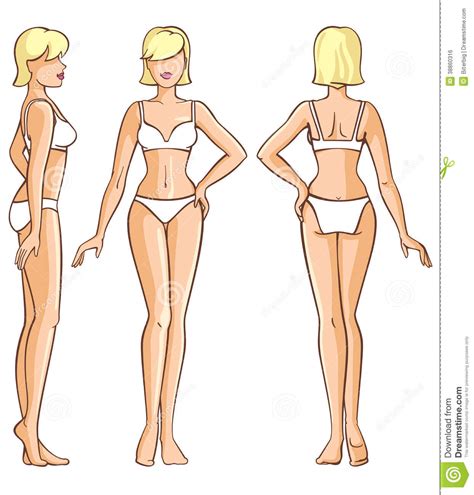 In this step by step tutorial, i will show you how to draw a basic female body from side view. Woman Body - Front, Back And Side View Stock Vector ...