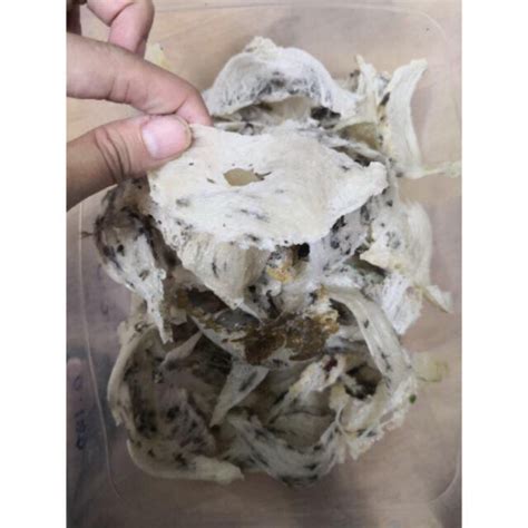 Sarang burung walet ini banyak manfaat nya buat kesehatan,pengobatan dan juga buat kecantikan(kosmetik) itu sebabnya khasiat menakjubkan di balik mahalnya sarang burung walet. Sarang Burung Walit patahan belum bersih 5gram | Shopee ...