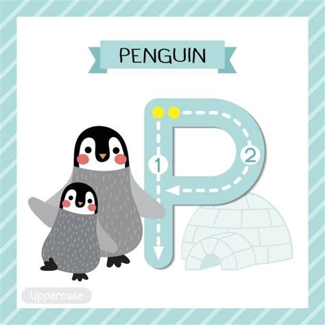 Buchstabe des modernen lateinischen alphabets. P is for Penguin = Pinguin | Penguins, Alphabet and numbers, Character