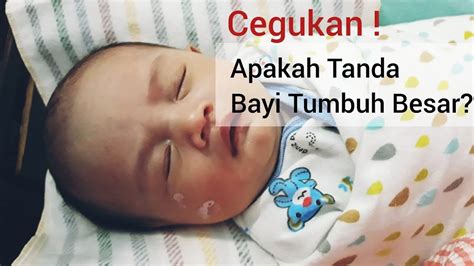 Biasanya botol susu diperlukan jika bunda bekerja, sehingga tidak bisa memberikan air susu (asi) sepanjang hari atau si kecil yang mendapatkan susu formula. Bayi Baru Lahir Langsung Cegukan - YouTube