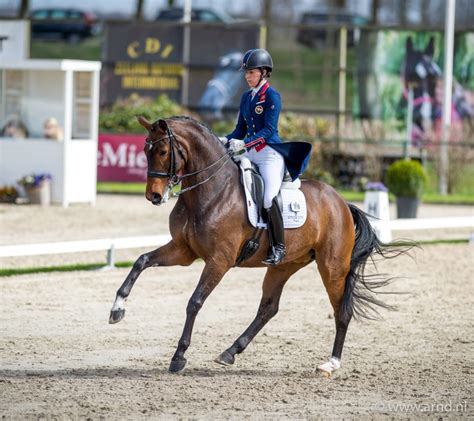 We did not find results for: 81,45% voor kür Dujardin, Zanardi 2, Expression 3 - Horses.nl