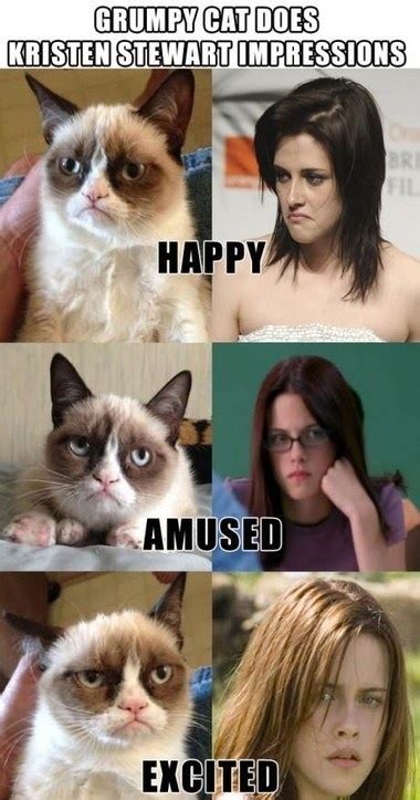 This cat is the world's most hateful cat, she hates everything and is fed up of whole world, learn more about this cat through a collection of funny clean memes and gifs appropriate for all ages! Nailed It | Funny pictures, Grumpy cat meme, Grumpy cat