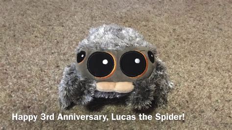 We've notified them of the issue. Happy 3rd Anniversary, Lucas the Spider! - YouTube