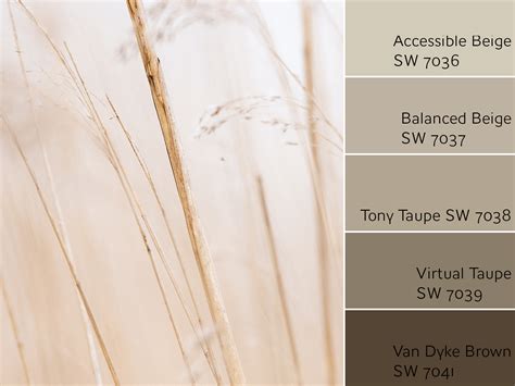 Accessible beige and balanced beige are my absolute favorite. One Shade Lighter Than Accessible Beige Sherwin Williams ...