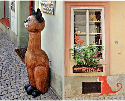 Ihr haustier wird sich an einem neuen ort wie zu hause fühlen. Haus-Katzen Foto & Bild | outdoor, kunst, tschechien ...