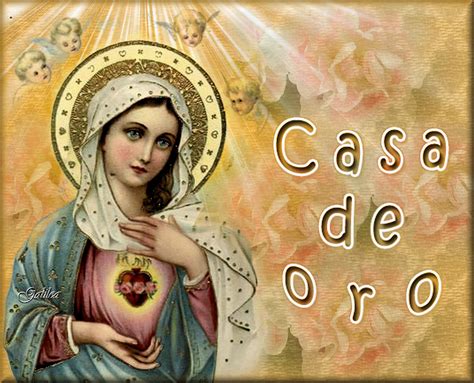 Costa de oro was founded by ron burk and bob espinola, after they tried to grow vegetables on the same land where they realized it was made for wine grapes. Santa María, Madre de Dios y Madre nuestra: Casa de Oro